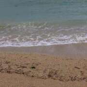 ヒメ日記 2026/01/15 21:18 投稿 新人ハル Celeb Garden(セレブガーデン)