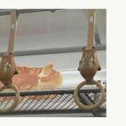 ヒメ日記 2026/04/19 14:24 投稿 みなと 奥鉄オクテツ大阪