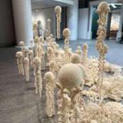 ヒメ日記 2026/01/15 11:26 投稿 井上　みと La vista （ラビスタ）