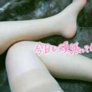 ヒメ日記 2026/01/28 05:17 投稿 須藤菜々子 五十路マダム 博多店