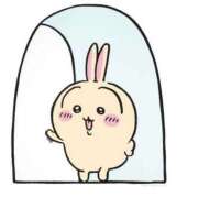 須藤菜々子 【ななこです】 五十路マダム 博多店