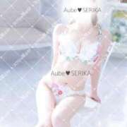 ヒメ日記 2025/12/27 15:16 投稿 セリカ Aube