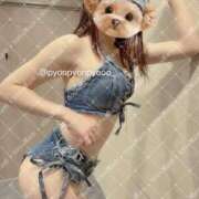 ヒメ日記 2026/01/23 21:46 投稿 セリカ Aube