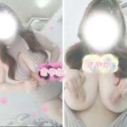 ヒメ日記 2026/03/15 12:41 投稿 さやか 春日部人妻花壇