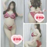 ヒメ日記 2026/04/15 12:11 投稿 さやか 春日部人妻花壇