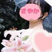 ヒメ日記 2026/04/24 15:02 投稿 さやか 春日部人妻花壇