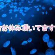 ヒメ日記 2025/12/28 12:55 投稿 かのん 熟女の風俗最終章 錦糸町店