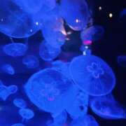 とあ とあ（エコ日本橋店） スピードエコ日本橋店