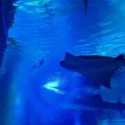 ヒメ日記 2026/03/08 13:54 投稿 とあ スピードエコ日本橋店