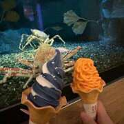 とあ とあ（エコ日本橋店） スピードエコ日本橋店