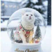 れん R7.12.28 熟女家 ミナミエリア店