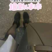 ヒメ日記 2026/01/17 20:55 投稿 れん 熟女家 ミナミエリア店