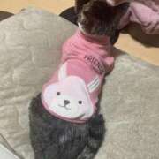 ヒメ日記 2026/02/20 09:10 投稿 れん 熟女家 ミナミエリア店