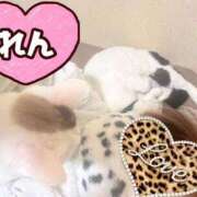 ヒメ日記 2026/02/22 09:45 投稿 れん 熟女家 ミナミエリア店