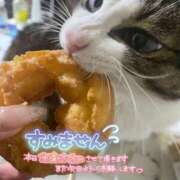 ヒメ日記 2026/03/14 13:45 投稿 れん 熟女家 ミナミエリア店