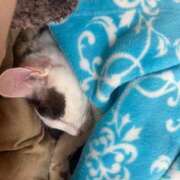 ヒメ日記 2026/03/21 09:41 投稿 れん 熟女家 ミナミエリア店