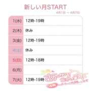 ヒメ日記 2026/03/31 18:45 投稿 れん 熟女家 ミナミエリア店