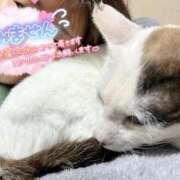 ヒメ日記 2026/04/06 14:15 投稿 れん 熟女家 ミナミエリア店