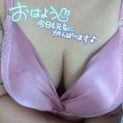 ヒメ日記 2026/05/19 08:35 投稿 れん 熟女家 ミナミエリア店