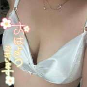 ヒメ日記 2026/05/21 08:35 投稿 れん 熟女家 ミナミエリア店