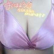 ヒメ日記 2026/05/30 08:15 投稿 れん 熟女家 ミナミエリア店