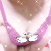 ヒメ日記 2026/04/09 00:10 投稿 もみじ 千葉人妻花壇