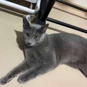 みろ ありがとう😊 ハピネス＆ドリーム 松山道後温泉