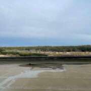 ヒメ日記 2026/03/20 15:11 投稿 さら×爆エロ×小顔童顔×小柄姉 ぴゅあぱい松戸♡ぽちゃかわ巨乳専門