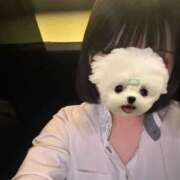 ヒメ日記 2026/03/07 22:29 投稿 あやめ 中目黒 2shot♥Lounge