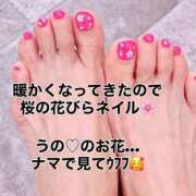 ヒメ日記 2026/03/29 07:17 投稿 うの 熟女家 梅田店