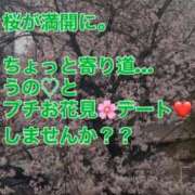 ヒメ日記 2026/03/30 14:27 投稿 うの 熟女家 梅田店