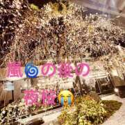 うの 散る花びらにくちづけて… 熟女家 梅田店