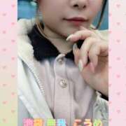 ヒメ日記 2025/12/29 14:01 投稿 こうめ 無我（むが）