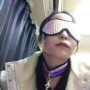 ヒメ日記 2025/12/31 17:30 投稿 こうめ 無我（むが）