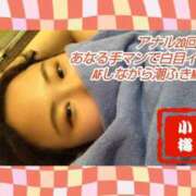 ヒメ日記 2026/01/07 21:58 投稿 こうめ 無我（むが）