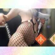 ヒメ日記 2026/01/10 11:22 投稿 こうめ 無我（むが）