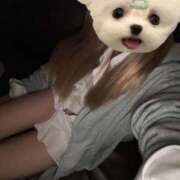 ヒメ日記 2026/05/08 19:34 投稿 つぐみ 中目黒 2shot♥Lounge