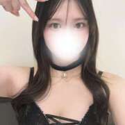 なみ お礼♡ 姫コレクション