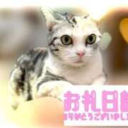 ヒメ日記 2026/02/28 15:12 投稿 るか 熟女の風俗最終章 西川口店