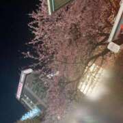 ヒメ日記 2026/03/17 00:17 投稿 まゆ 水戸人妻花壇