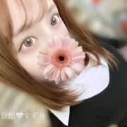 すずり 🈳17:00～🦙🌸 風神会館新宿店