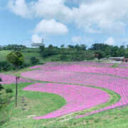 ヒメ日記 2026/02/10 09:45 投稿 白石 熟女待機所 厚木店