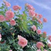 ヒメ日記 2026/03/24 12:26 投稿 白石 熟女待機所 厚木店