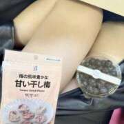 ヒメ日記 2026/01/30 14:37 投稿 レイ-Rei- マニア東京　Mフェチ・アブノーマル専門店