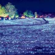 ヒメ日記 2025/12/28 23:54 投稿 ゆきね ピーチガール