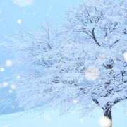 ヒメ日記 2025/12/29 10:01 投稿 ゆきね ピーチガール