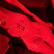 ヒメ日記 2026/09/21 14:58 投稿 りりか VIVID CREW Pink Party Paradise