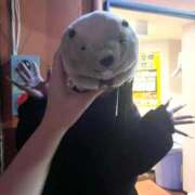 ヒメ日記 2026/03/12 15:09 投稿 かすみ 新宿プチドール