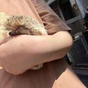 ヒメ日記 2026/04/11 20:49 投稿 かすみ 新宿プチドール