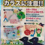 ヒメ日記 2026/04/23 20:08 投稿 朝比奈まな お姉さんLABO -艶-